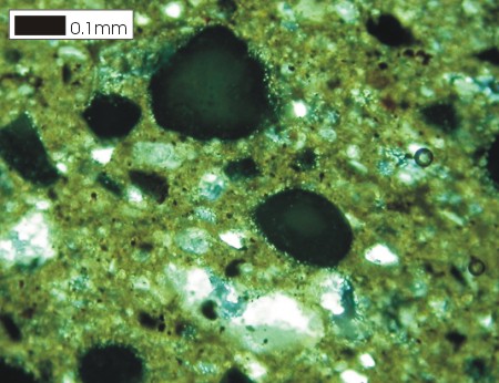 Phosphate Ooid - Cross polarised light